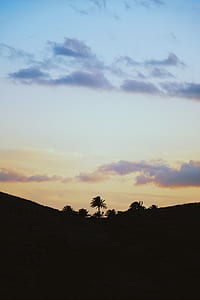 silhouette photography of trees and blue sky thumbnail