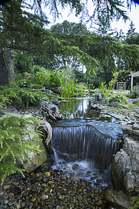 waterfalls under green leaf tree during daytime thumbnail