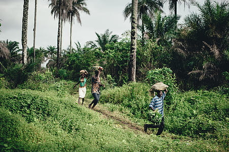 three people walking outdoor surrounded with plants and trees during daytime thumbnail