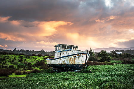 white and black boat on grass during day thumbnail