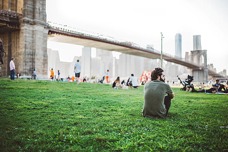 man sitting on green grass near Brooklyn Bridge thumbnail