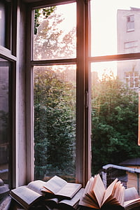 several opened books near windowpane thumbnail