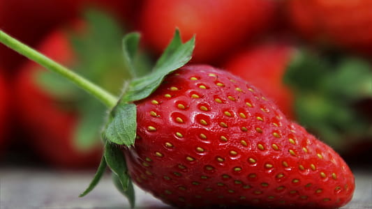 strawberry in shallow focus thumbnail