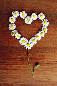 white Daisy flowers in heart-shape decor on brown wooden surface thumbnail