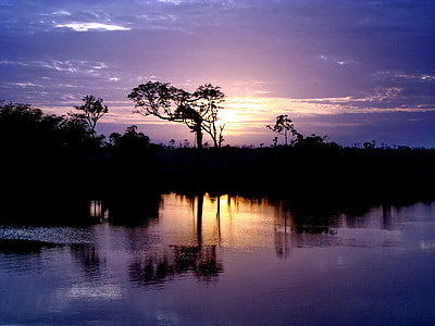 silhouette of tree near lake thumbnail