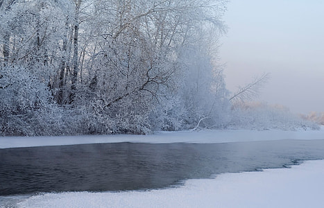 photo of snowy terrain and tall trees taken near body of water thumbnail