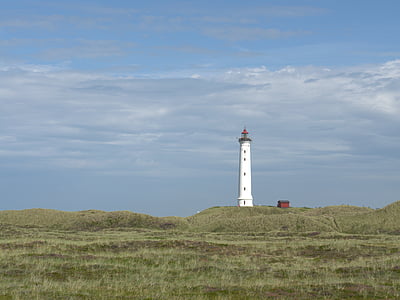 lighthouse surround by trees and plants thumbnail