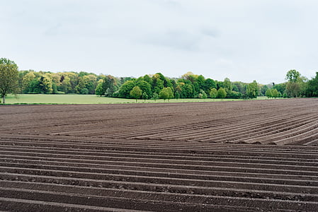 brown field thumbnail