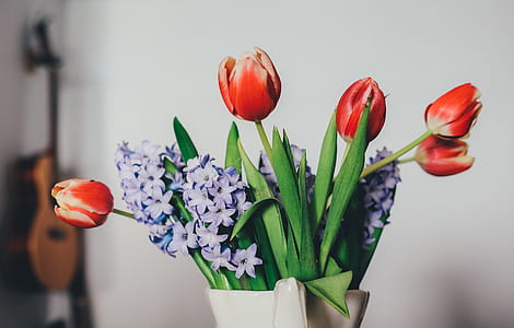 red tulip and purple hyacinth flower arrangements thumbnail