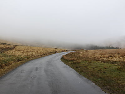 gray concrete empty road between brown grasses thumbnail