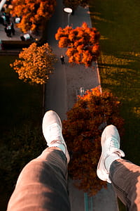 person wearing pair of white low-top sneakers thumbnail