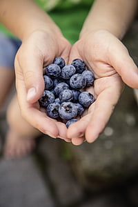 person holding raspberries thumbnail