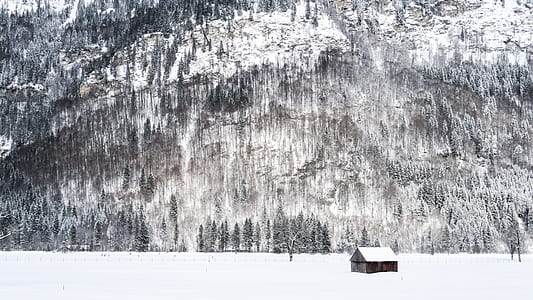 brown wooden houses covered with snow surrounded by field covered in snow near mountain with trees during winter thumbnail