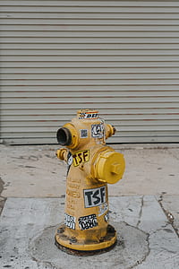 photo of yellow fire hydrant thumbnail