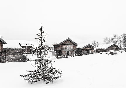 snow-covered village during daytime thumbnail
