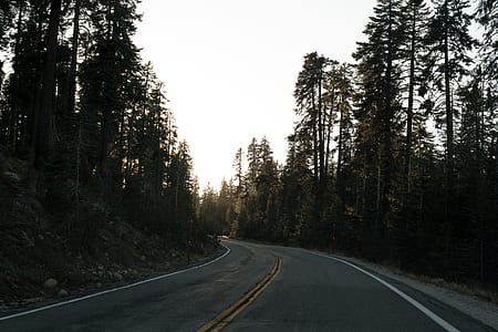 gray road path thumbnail