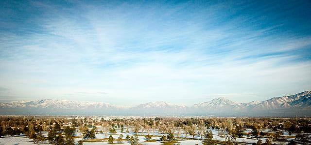landscape photo of green trees during daytime thumbnail