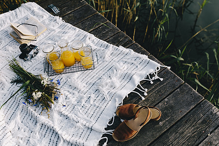 Picnic at the lakeshore thumbnail