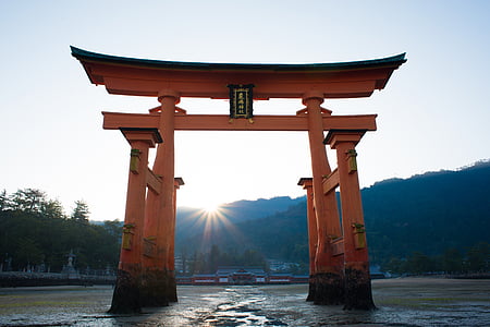 orange and black wooden Torii Gate, Japan at daytime thumbnail