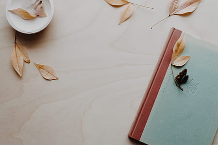 blue and brown book with leaf thumbnail