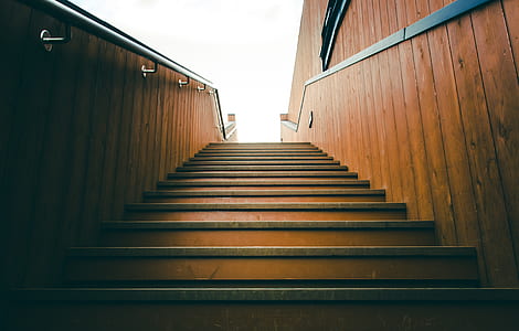 worm's eyeview of brown wooden plank stair during daytime thumbnail