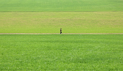 person walking in the middle of green field thumbnail