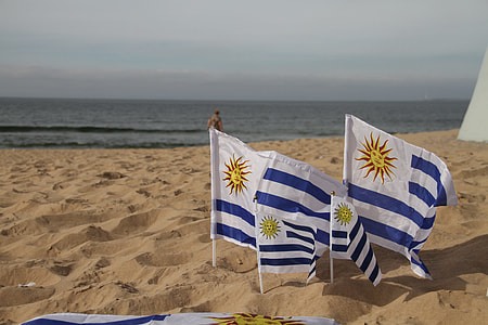 four white-blue-and-yellow flags on sand beside seashore at daytime thumbnail