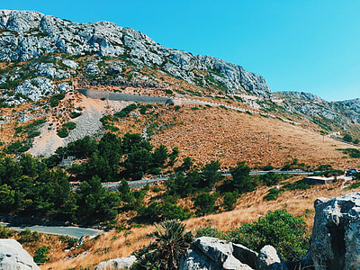 landscape photography of mountain and trees thumbnail
