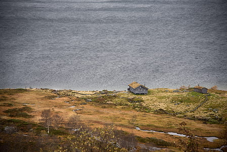 scenery of plain field thumbnail