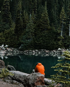 person sitting on rock facing body of water and tall trees thumbnail