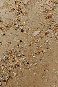 Sand beach background with sea shells & pebbles - many round small stones thumbnail