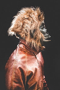 black gorilla wearing brown jacket with black background thumbnail