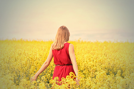 woman wearing red sleeveless dress walking at field of yellow flower thumbnail