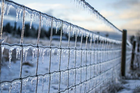 gray wire fence covered with ice during daytime thumbnail