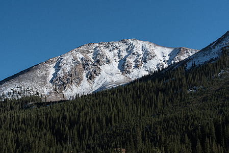 mountain snow covered and surrounding trees thumbnail