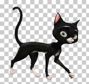 16 kitten academy png