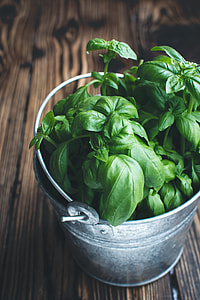 Fresh basil in a bucket thumbnail