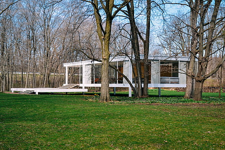 white wooden shed near bare trees thumbnail
