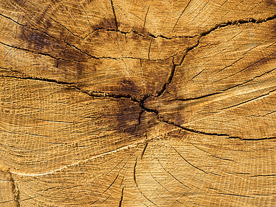 brown wooden slab thumbnail