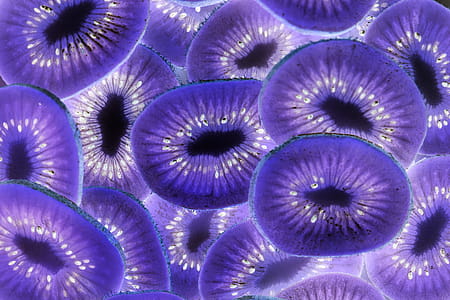 Purple Flowers thumbnail
