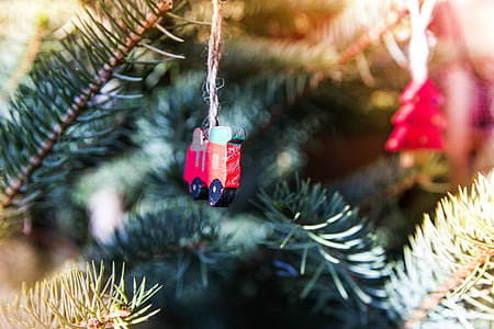 close-up photo of red ornament hanging on tree thumbnail