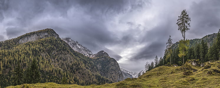 landscape photography of green mountain thumbnail