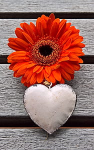red daisy flowers with white heart decor thumbnail