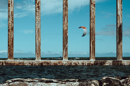brown wooden fence overlooking the sea thumbnail
