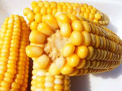 selective focus photography of steamed corn thumbnail