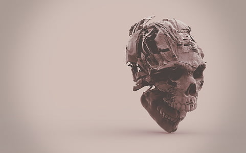 gray decaying skull photography thumbnail