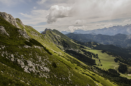 mountain covered by green trees thumbnail
