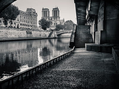 grayscale photography of empty stairs near bridge thumbnail