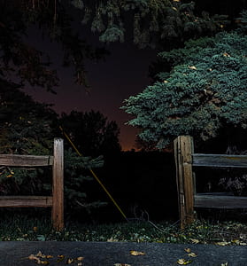 green trees near brown wooden fences thumbnail