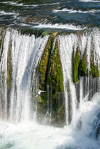 man diving from waterfalls thumbnail
